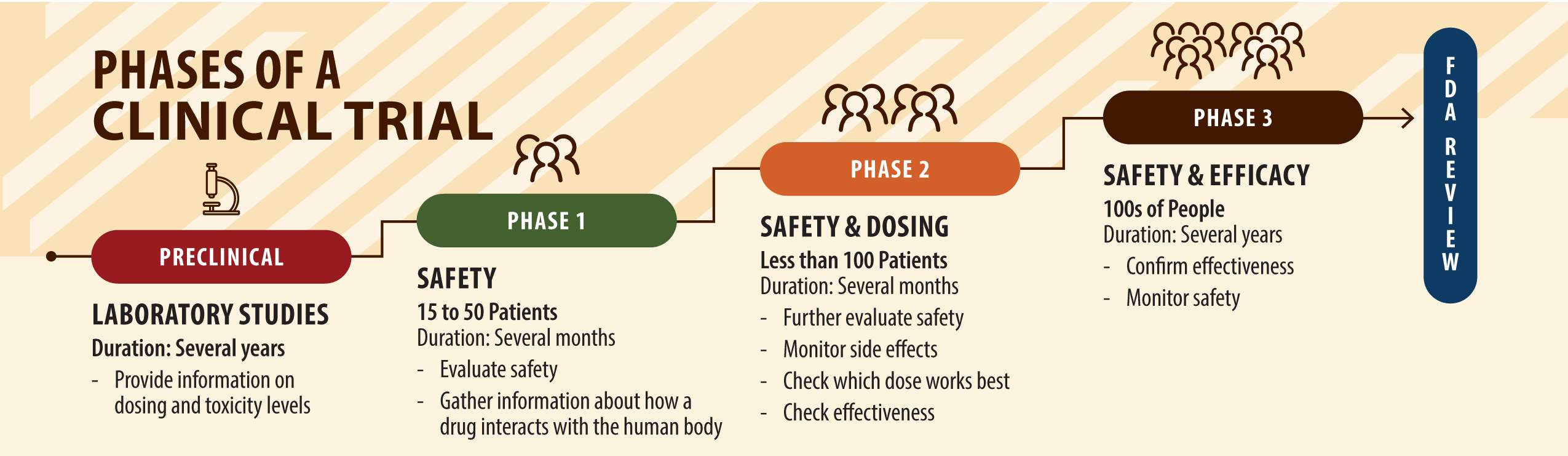 phases of a clinical trial