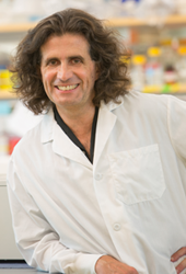 Michele Carbone, MD, PhD