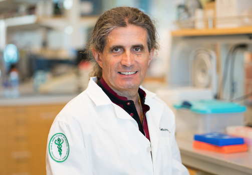 Michele Carbone, MD, PhD