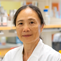 Xin Chen, PhD