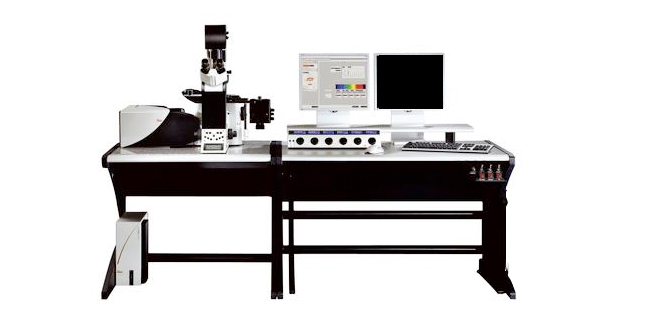 Leica TCS SP5 confocal microscope